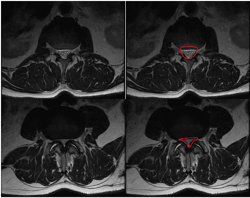 Screenshot Tool 20260219120606